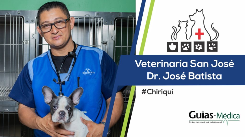 Veterinarias en Chiriquí Panamá Veterinarias en Chiriquí Panamá